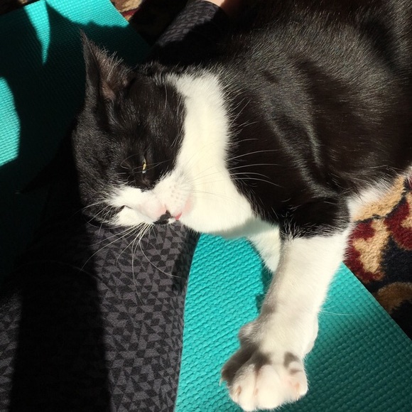 Meet the Posher! 🌻 - Picture 4 of 4